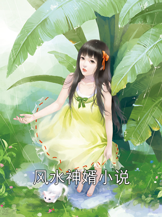 风水神婿小说
