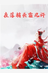 全文小说夜落梢头霜几许目录免费阅读