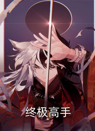 终极高手精彩小说(秋风123)全章节阅读