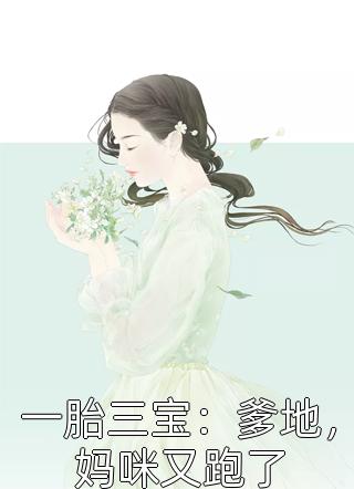 一胎三宝：爹地，妈咪又跑了小说 一胎三宝：爹地，妈咪又跑了免费阅读