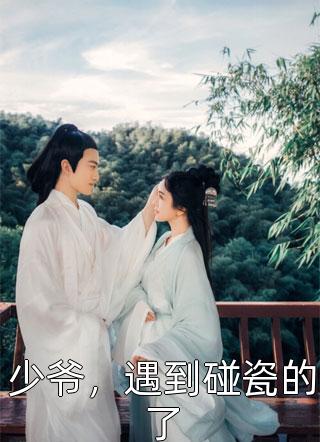 少爷，遇到碰瓷的了小说 少爷，遇到碰瓷的了免费阅读