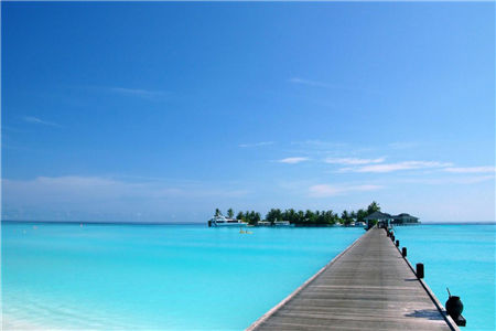 《夫人马甲藏不住了》乔以沫冷倦小说精彩内容免费阅读