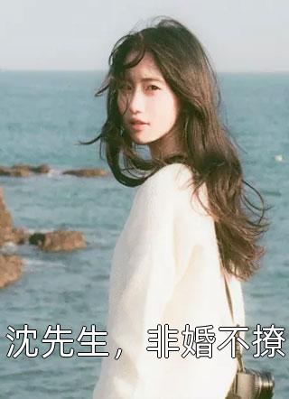好看的沈先生，非婚不撩小说_沈先生，非婚不撩最新章节阅读