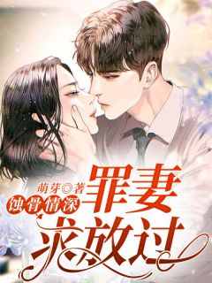 蚀骨情深：罪妻求放过萌芽小说（完整版）阅读