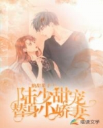 糖甜果子的小说陆少甜宠替身小娇妻沈知夏陆川尧完结版阅读