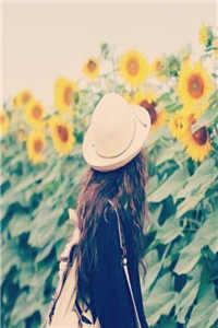 (半生寿命一生苦)容鸢霍无舟全本大结局小说阅读