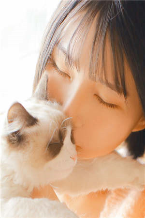 深城首富顾家小竹全文小说免费阅读