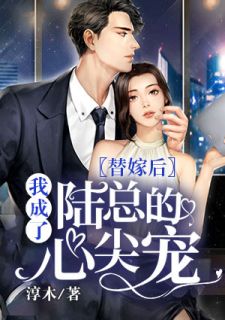 替嫁后我成了陆总的心尖宠by淳木在线阅读