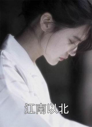 江南以北春雷炮小说（完整版）阅读