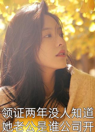 领证两年没人知道她老公是谁公司开会小说全文茗舒免费阅读