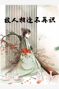 故人相逢不再识完结版小说全章节目录阅读