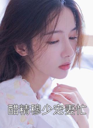 醋精穆少宠妻忙小说全文桃慕慕免费阅读