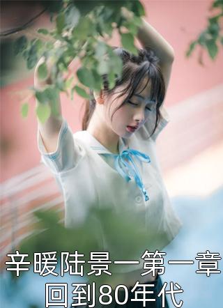 辛暖陆景一第一章回到80年代全本小说（辛暖陆景一第一章回到80年代）全文阅读