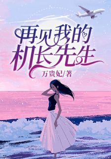 再见我的机长先生小说全文万贵妃免费阅读