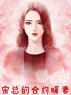 宋总的合约暖妻