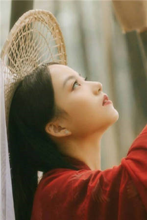 夫人她A爆全世界