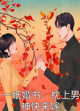 《一纸婚书：枕上男神快来嫁》完结小说(全文在线阅读)