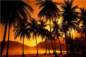 (全章节)291033小说-291033宋思年顾平生在线阅读