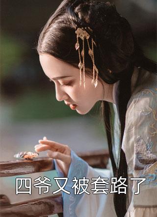 《四爷又被套路了》完结小说(全文在线阅读)