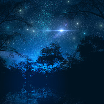 5614561陆湛唐璎免费版小说抖音文在线阅读"