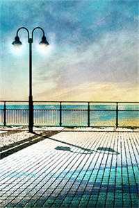 徐青空苏锦小说免费阅读-徐青空苏锦在线阅读