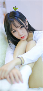 曾有梵星入梦来【温暖顾经年】完结版全集小说免费阅读