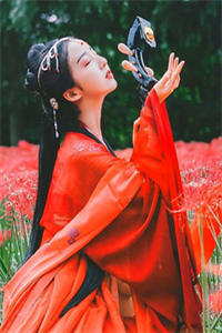 盛宠的嫡公主小说-魏淮昀顾行止章节目录阅读