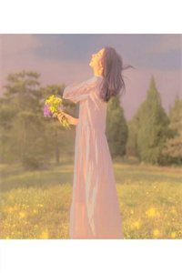 《傲世猛龙》林白唐仁全文小说章节目录阅读