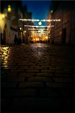 真假感情王纯小说《真假感情》全文阅读