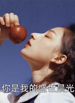 爆款小说你是我的盛世晨光全文免费阅读