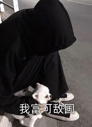 《我富可敌国》小说完整章节我富可敌国免费阅读