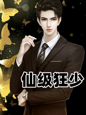 仙级狂少杨辰龙婷小说_仙级狂少免费阅读