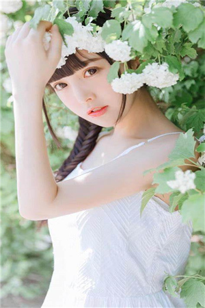 小说全集免费阅读《退婚后夫人美翻了》 程晚词季霆深by绯音音