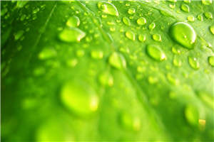 权臣请离我远点小说全本全章节最新阅读