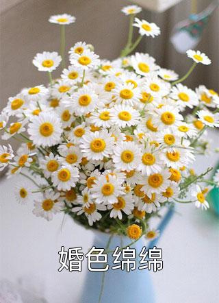 婚色绵绵全文阅读 绯音音章节阅读
