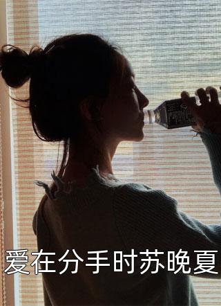 爱在分手时苏晚夏仅允最新小说全文阅读