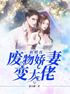 傅爷：夫人又惊艳全球了全文免费阅读(暮小靓)完结版阅读