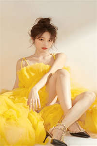 《今兮贺司珩》-今兮贺司珩抖音小说大结局小说全文阅读