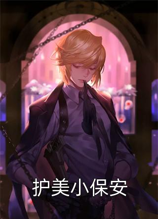 全章节小说护美小保安风流小二最新阅读