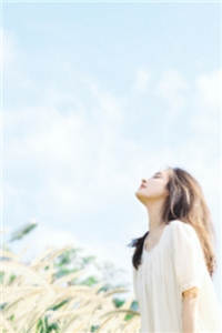 《出逃的皇后》沈念慈陆之天全文章节阅读