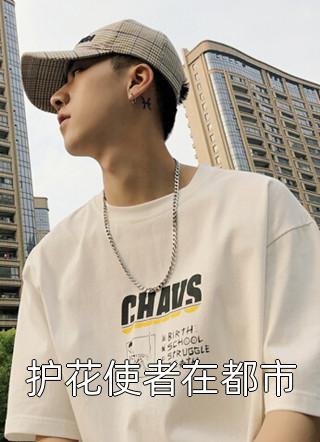 护花使者在都市全本小说（护花使者在都市）全文阅读