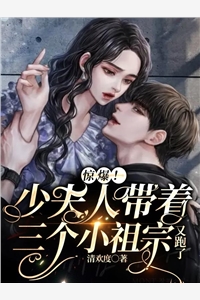 惊爆少夫人带着三个小祖宗又跑了清欢度完本在线小说免费阅读