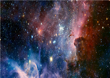 锐意进取刘锐小说全文阅读