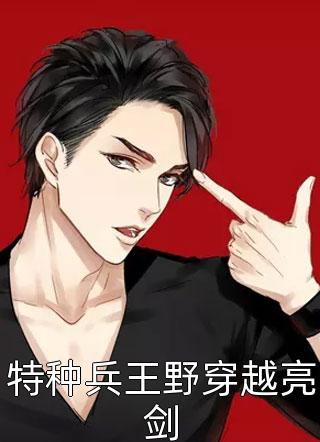 寂寞剑客写的小说特种兵王野穿越亮剑最新阅读