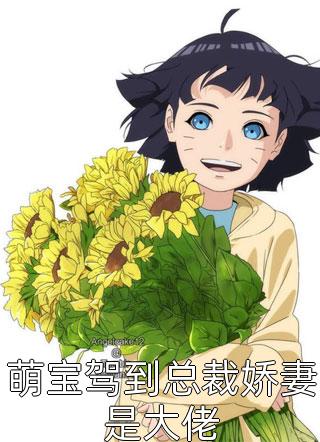 萌宝驾到总裁娇妻是大佬by战歌在线阅读