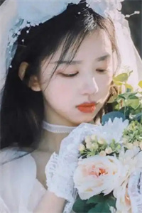 猫被盯上歆甜谭鸣雨全本大结局小说阅读