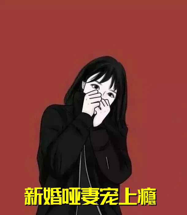 完结版小说新婚哑妻宠上瘾第3章阅读