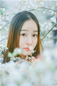 小村圣医徐大强范月兰小说全文完结版阅读