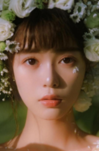 愿为东北风小说阅读(乔青谢池南)全本阅读