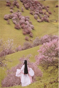 章节目录小说阅读《妖孽总裁宠妻不腻》